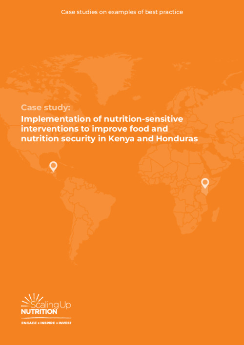 case-study-implementation-of-nutrition-sensitive-interventions-to